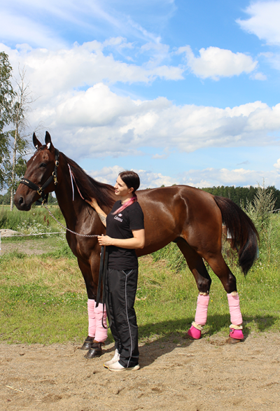 hevonen hieronta hevoshieronta hevosen hieronta liperi joensuu pohjois-karjala bemer bemer-hoito bemer-laite
